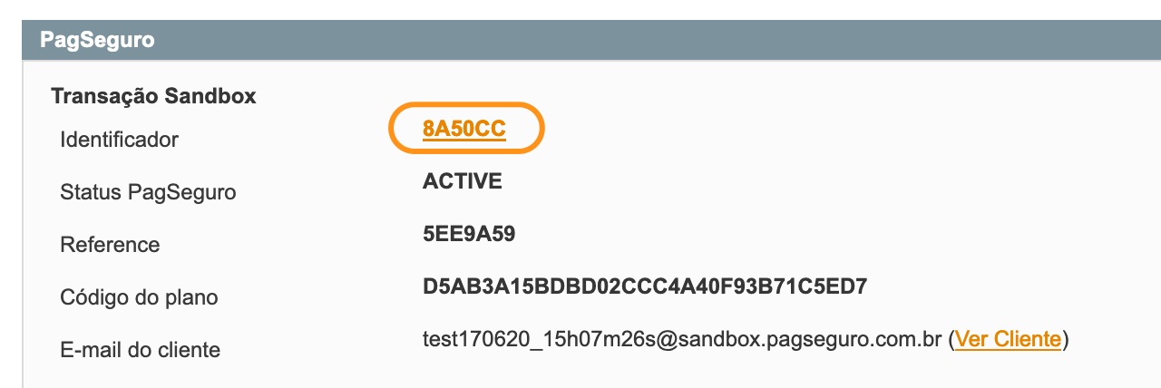 Perfil__DC9AFEFE9E9E61D334C0FFB55BEBA1DF___Perfis_Recorrente___Vendas___Administrac_a_o_Magento.jpg